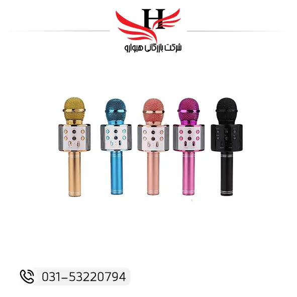 اسپیکر میکروفون گودفری GOODFREYR‑WS858 بلوتوثی با قابلیت ضبط صدا و افکت اکو، مناسب کارائوکه و خرید عمده از هیوارو